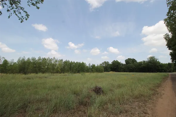a view of a field with trees in background
