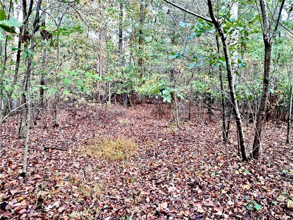 681 Mullinax Road Jasper, GA 30143 - Photo 24 of 36