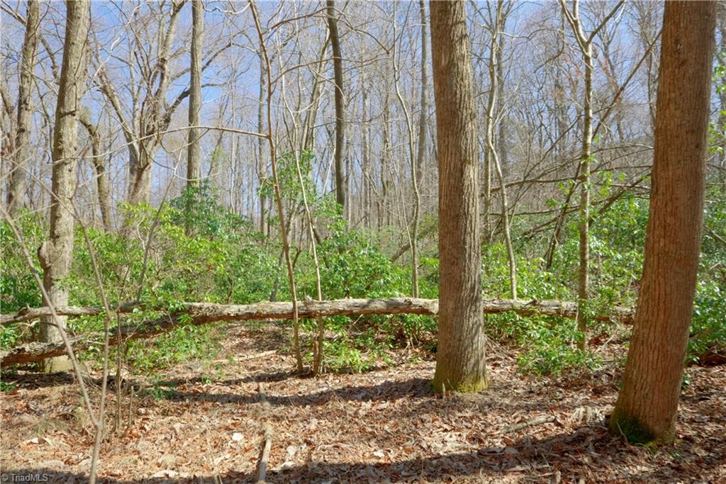6 Old Mill Road Pinnacle, NC 27043 - Photo 11 of 29