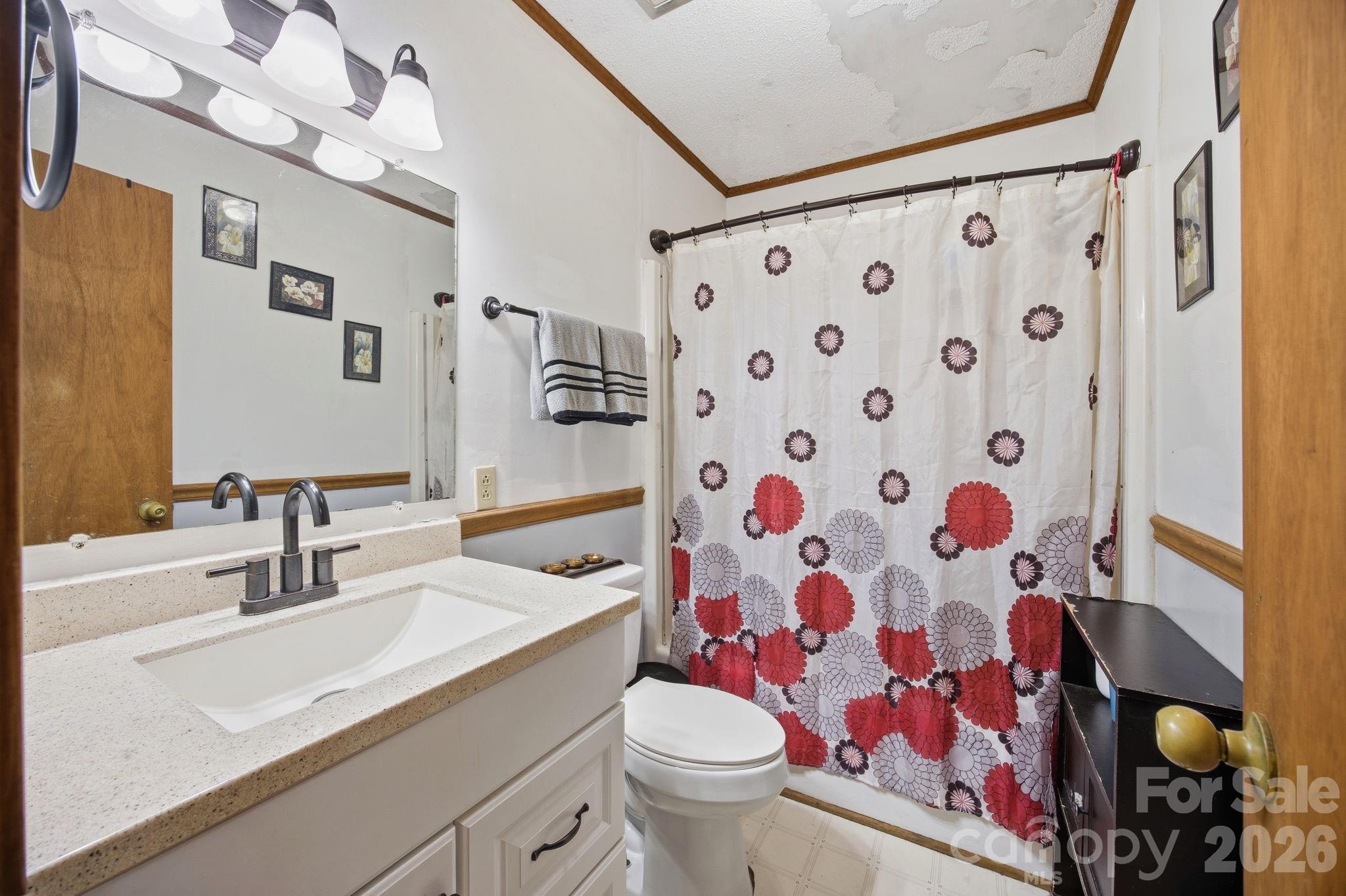 20 Ruby Street Rockwell, NC 28138 - Photo 14 of 38 a bathroom with a sink toilet and shower