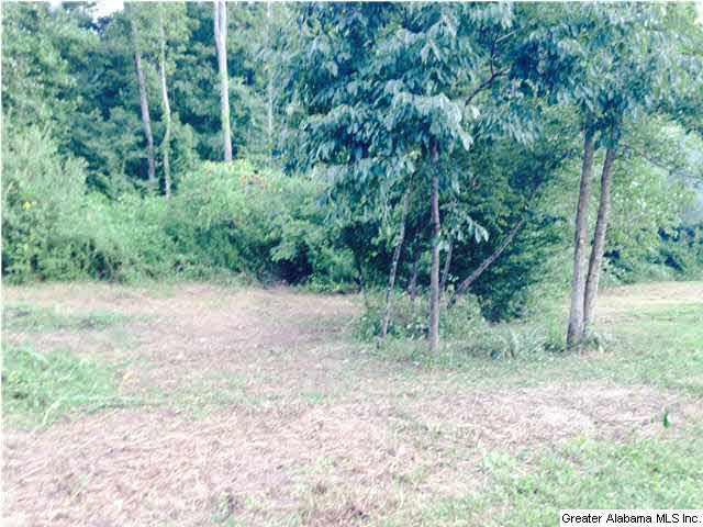 2615 6 Foot Road Ohatchee, AL 36271 - Photo 14 of 22