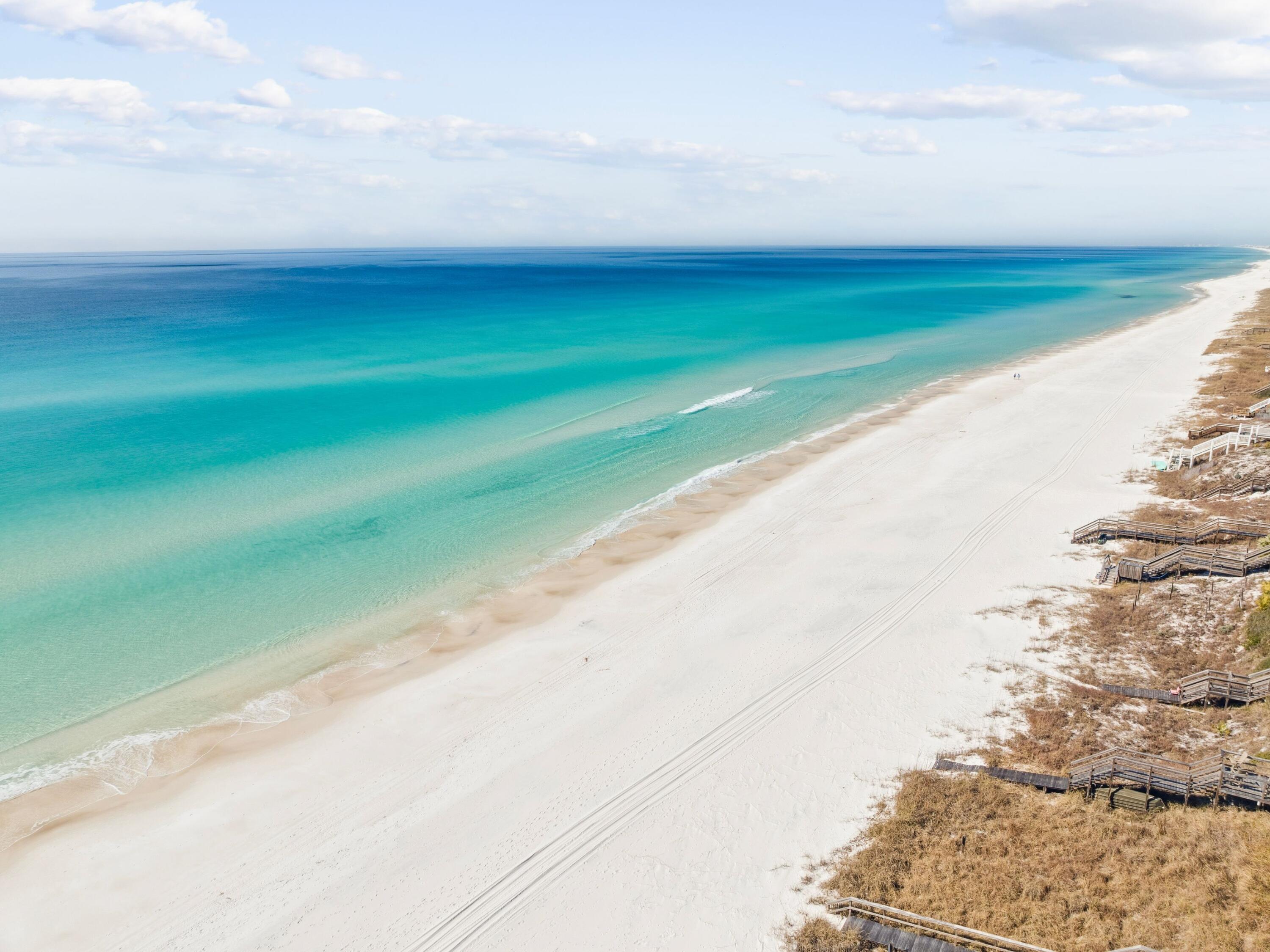 30 Pelican Circle Inlet Beach, FL 32461 - Photo 48 of 48 a view of a yard