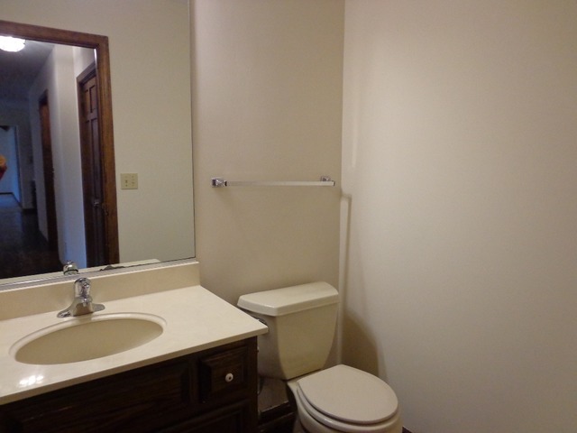100 Thornhill Farm Road St. Charles, IL 60175 - Photo 10 of 24