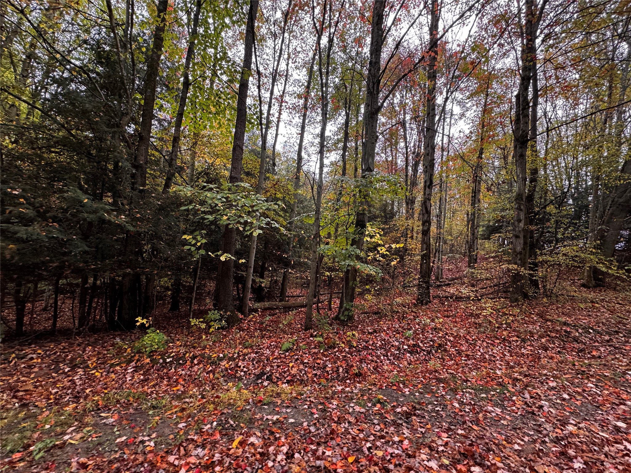 Lot 1 Dobbs Road Centerville, PA 16404 - Photo 2 of 9
