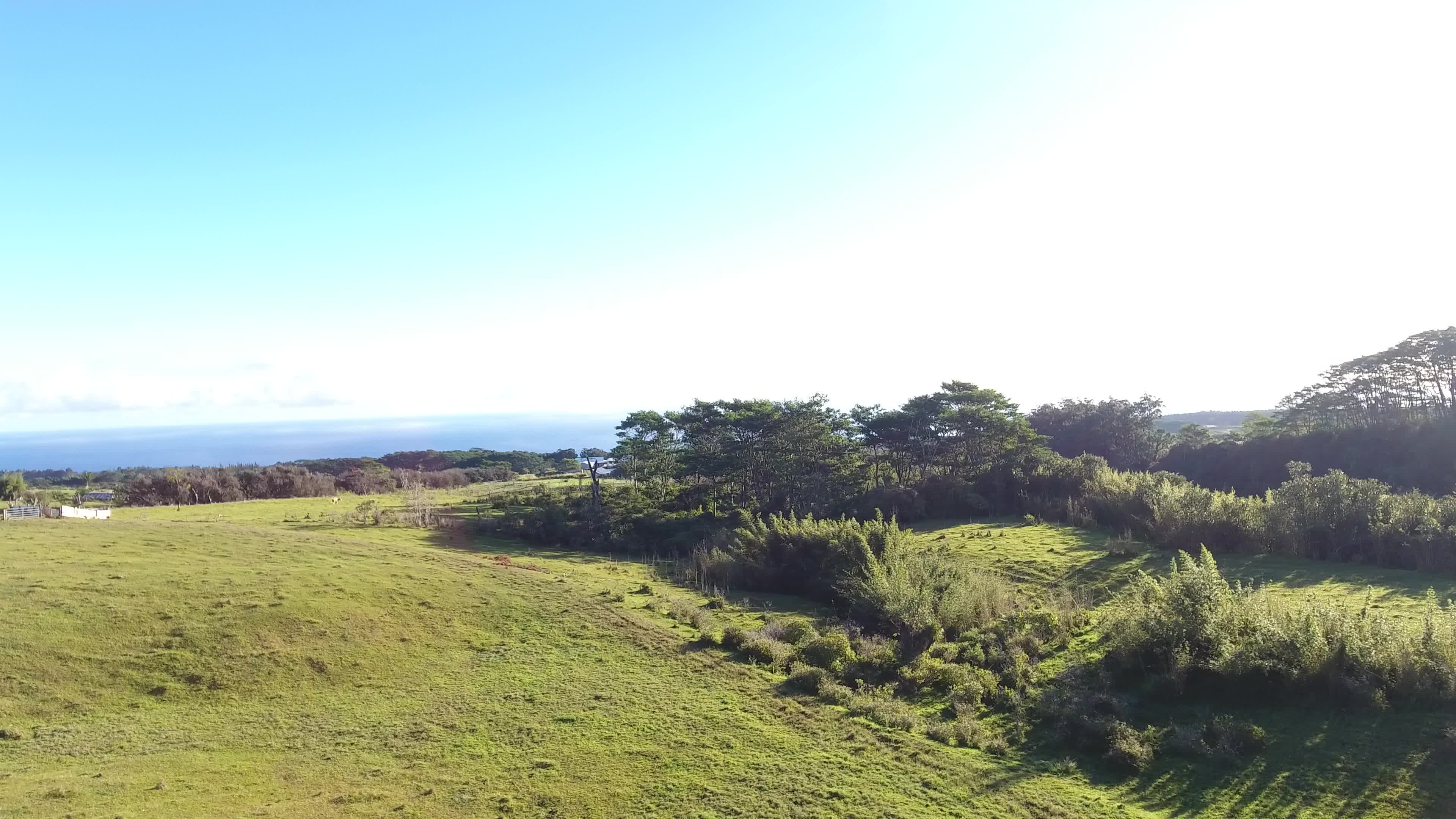 Kaiwiki Homestead Road Papaikou, HI 96781 - Photo 7 of 13 a view of an ocean