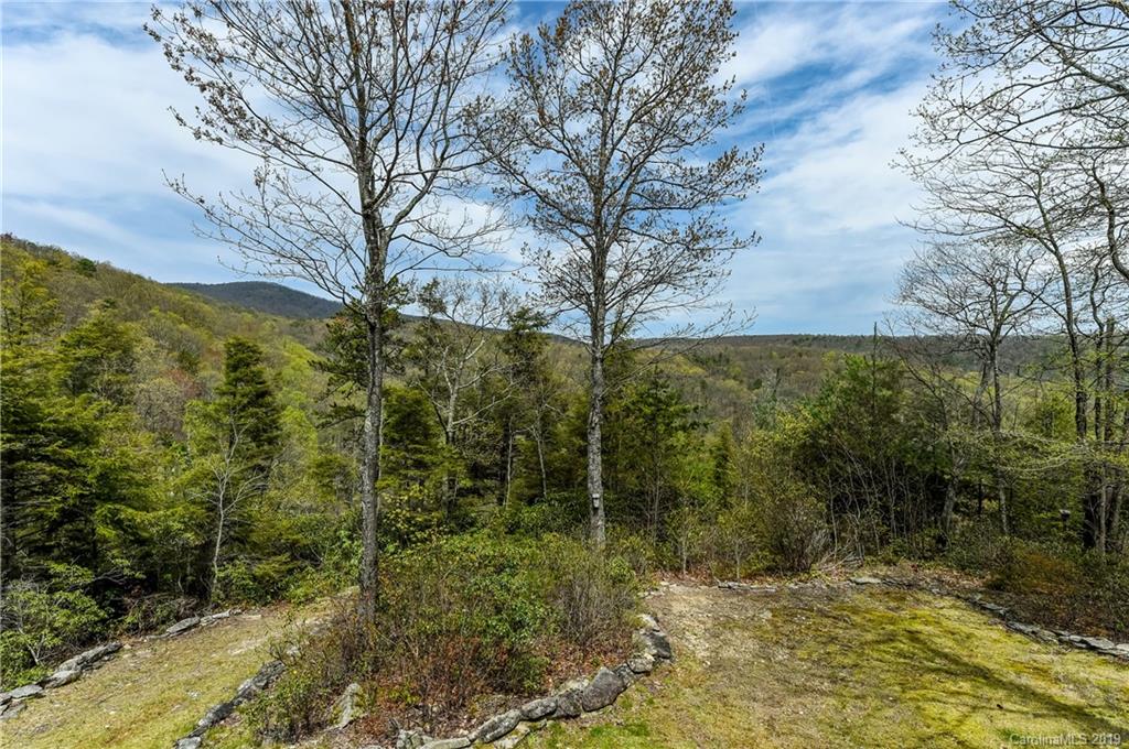 263 Butler Ridge Hendersonville, NC 28792 - Photo 40 of 48 Gallery Image 40