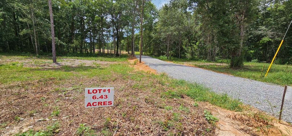 L1 New Hinson Road Slocomb, AL 36375 - Photo 2 of 30