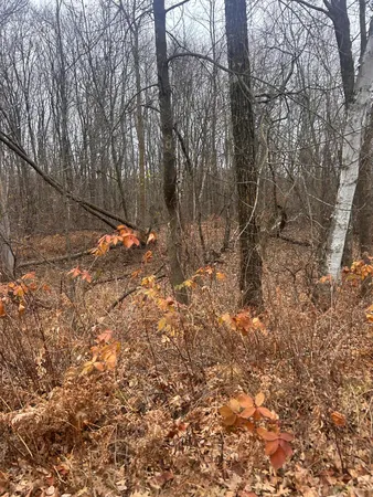 $25,900 | Tbdxxx Tbdxxx Golf Course Drive, Randall, MN 56475