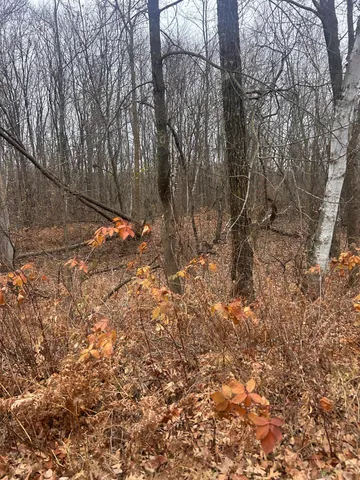 $25,900 | Tbdxxx Tbdxxx Golf Course Drive, Randall, MN 56475