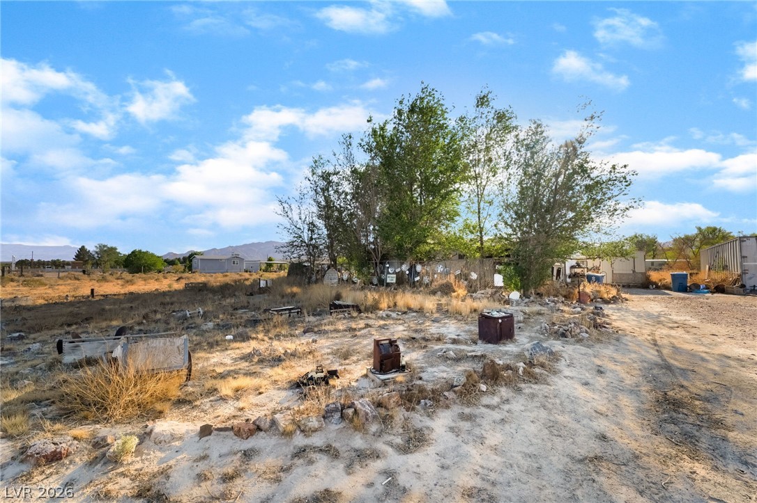 2350 Shawnee Street Sandy Valley, NV 89019 - Photo 30 of 38 View of yard