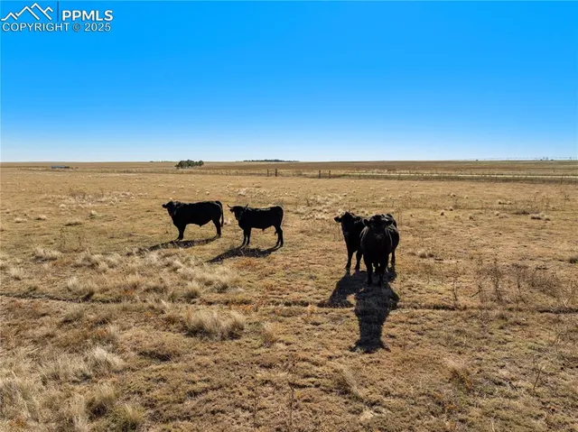 a view of an ocean beach