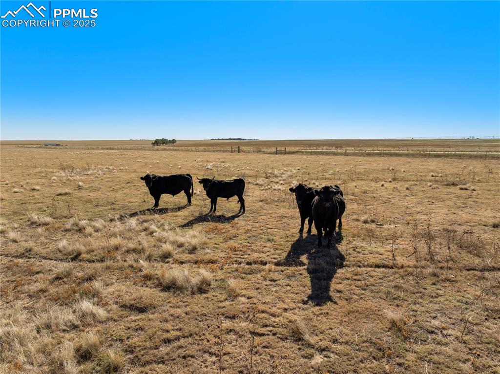 2 B County Road Rush, CO 80833 - Photo 22 of 28 a view of a ocean view