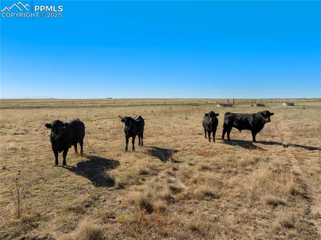 a view of a walk in closet