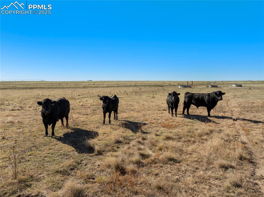 2 B County Road Rush, CO 80833 - Photo 23 of 28 a view of an ocean beach