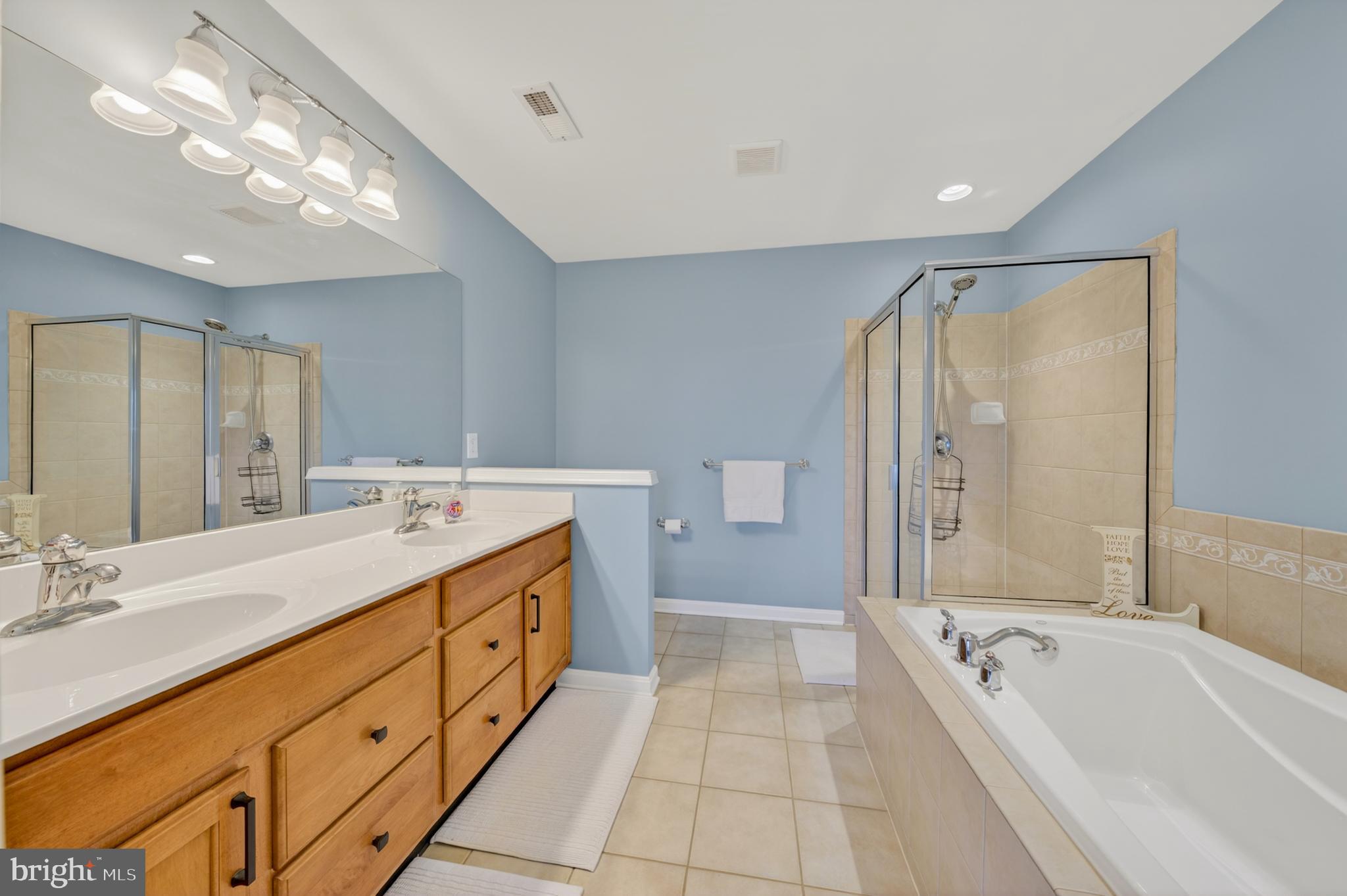 8617 Cascade Road Breinigsville, PA 18031 - Photo 21 of 44 Master Bath