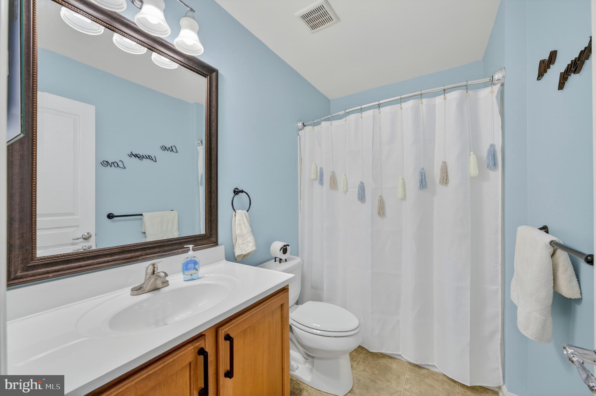 8617 Cascade Road Breinigsville, PA 18031 - Photo 25 of 44 Bathroom 2