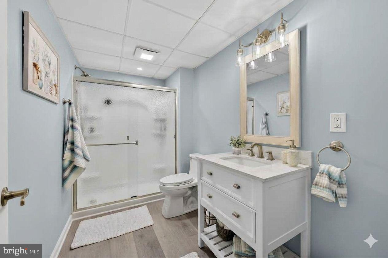 8617 Cascade Road Breinigsville, PA 18031 - Photo 33 of 44 Basement Bathroom