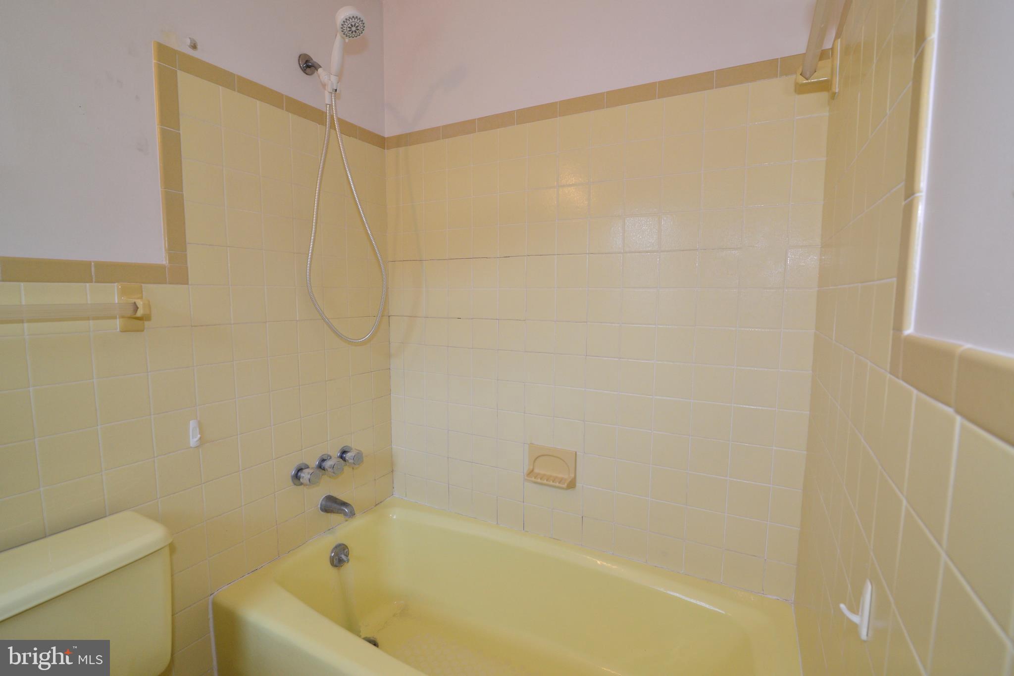 43157 Lucketts Road Leesburg, VA 20176 - Photo 18 of 56 Owner's tub/shower