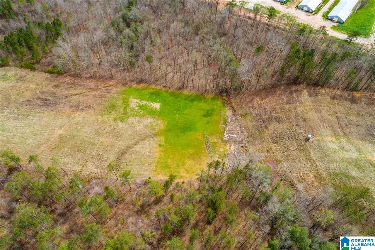 4199 Cowpens Road Alexander City, AL 35010 - Photo 38 of 50