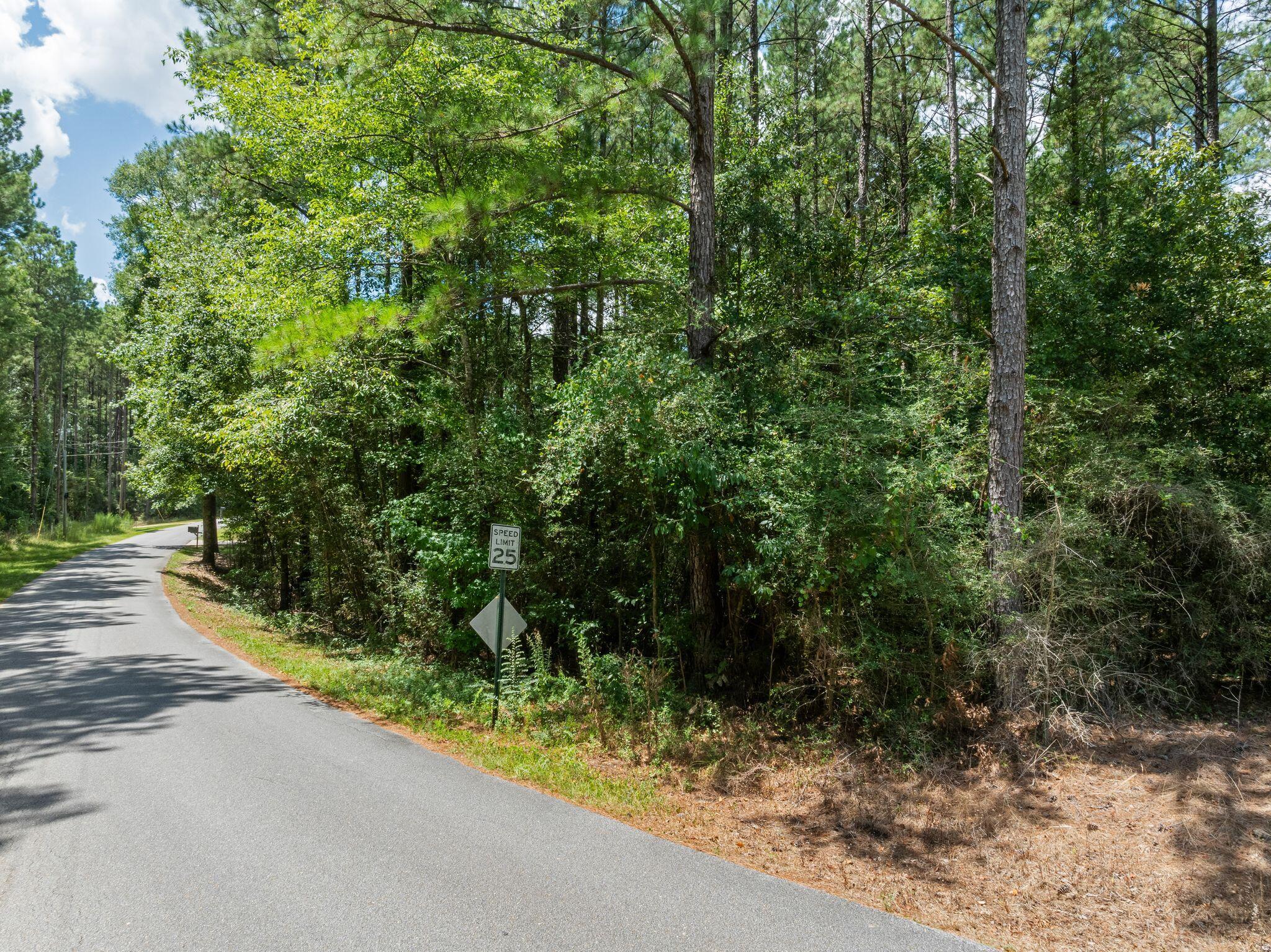 36 Magnolia Crossing Road Sumrall, MS 39482 - Photo 45 of 49 Gallery Image 45