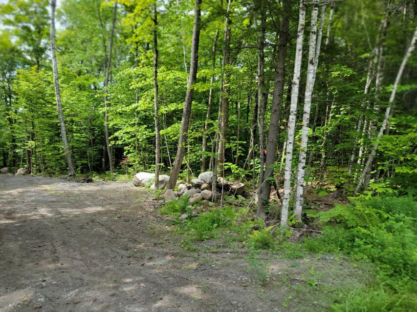1 Railroad Bed Rd Lake View Milo, ME 04463 - Photo 12 of 27 driveway
