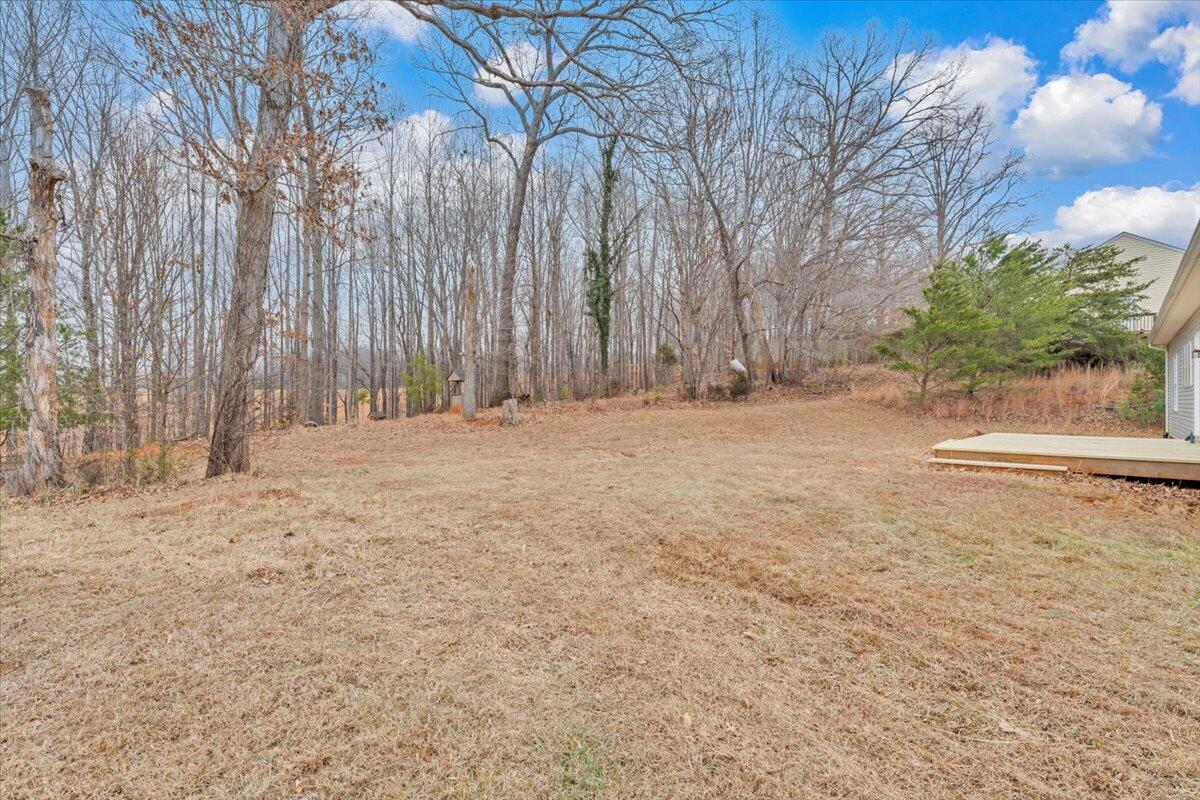 4716 Meadors Spur Road Moneta, VA 24121 - Photo 41 of 51 41-MIB09323