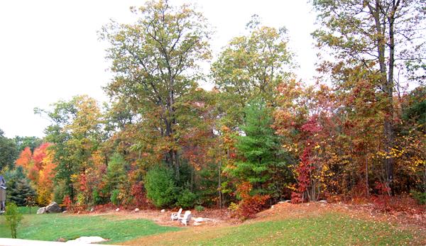 21 Taft Mill Road Grafton, MA 01560 - Photo 23 of 24 Gallery Image 23