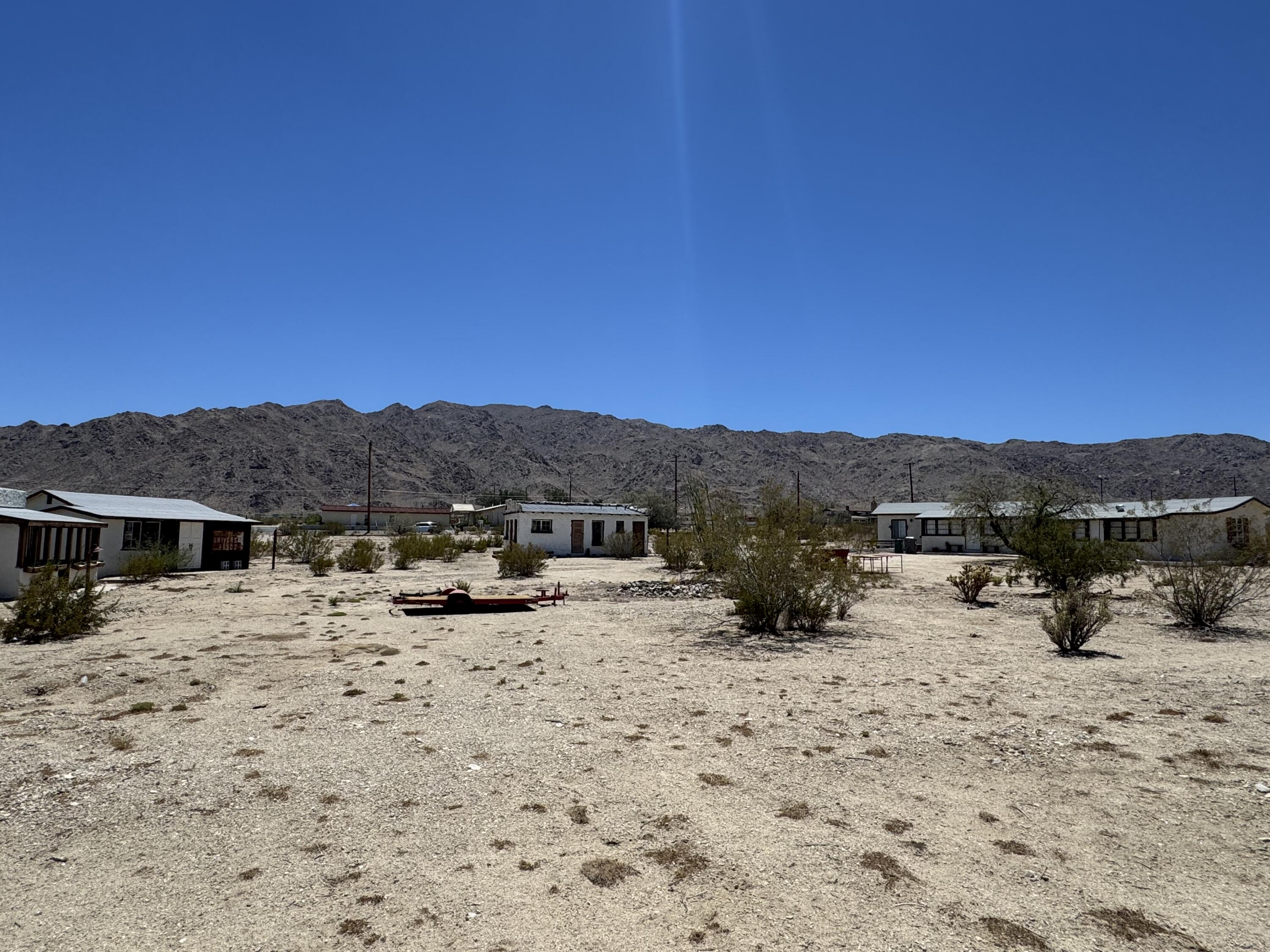 a view of a dry yard with trees