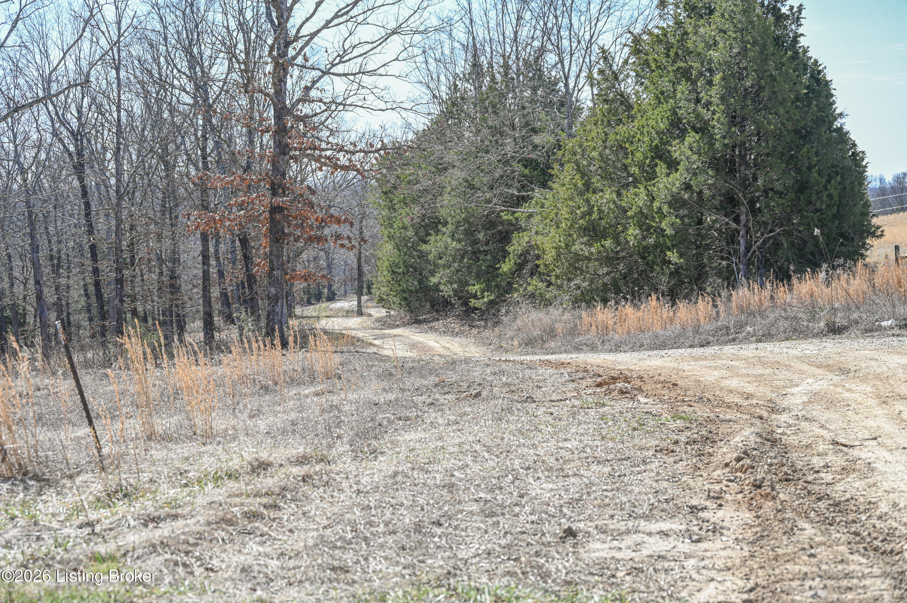 1842 East Millerstown Road Upton, KY 42784 - Photo 21 of 27 10-DSC_1554