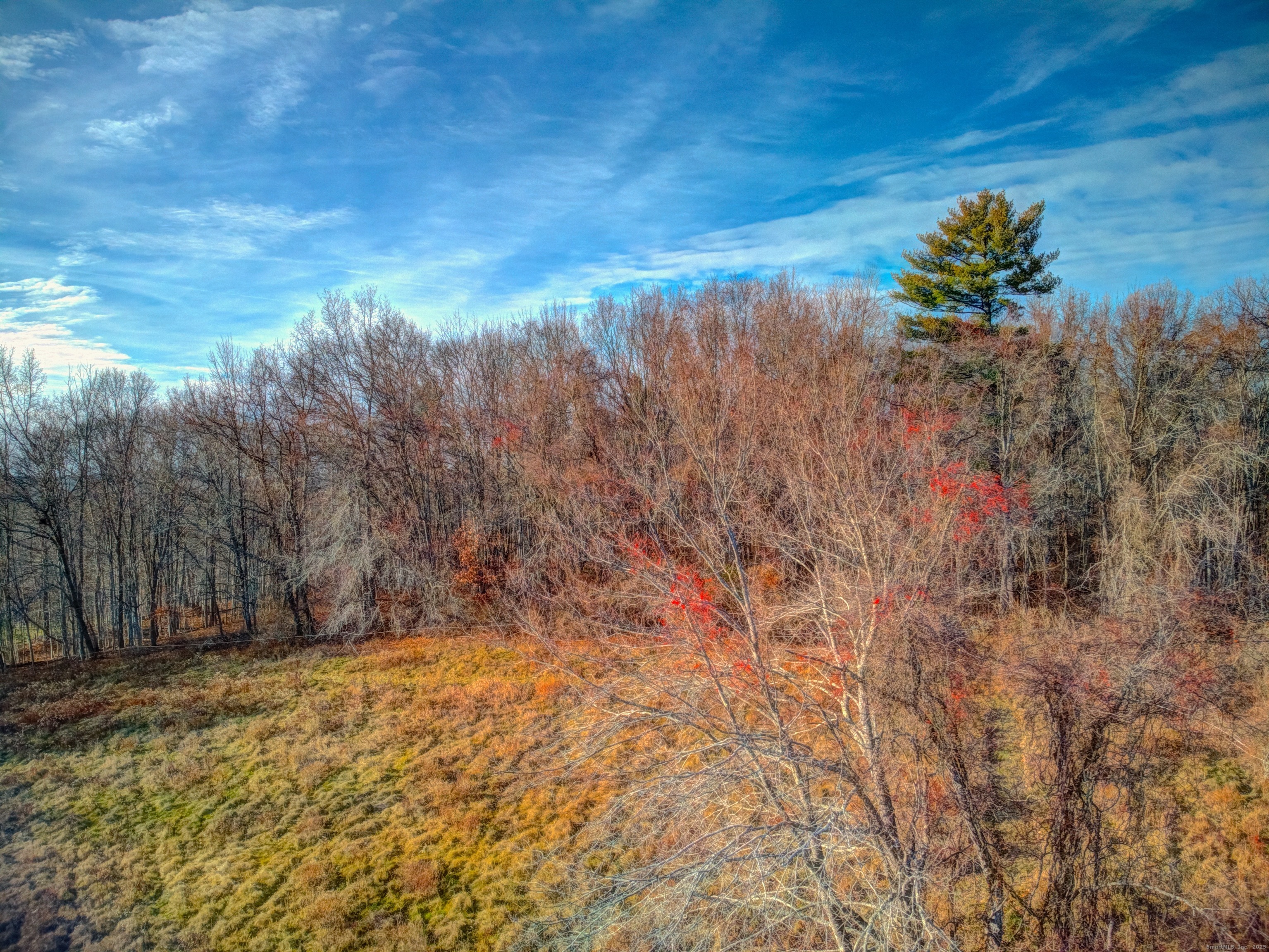 Summit Road Storrs Mansfield, CT 06268 - Photo 14 of 33 a view of a yard with wooden fence