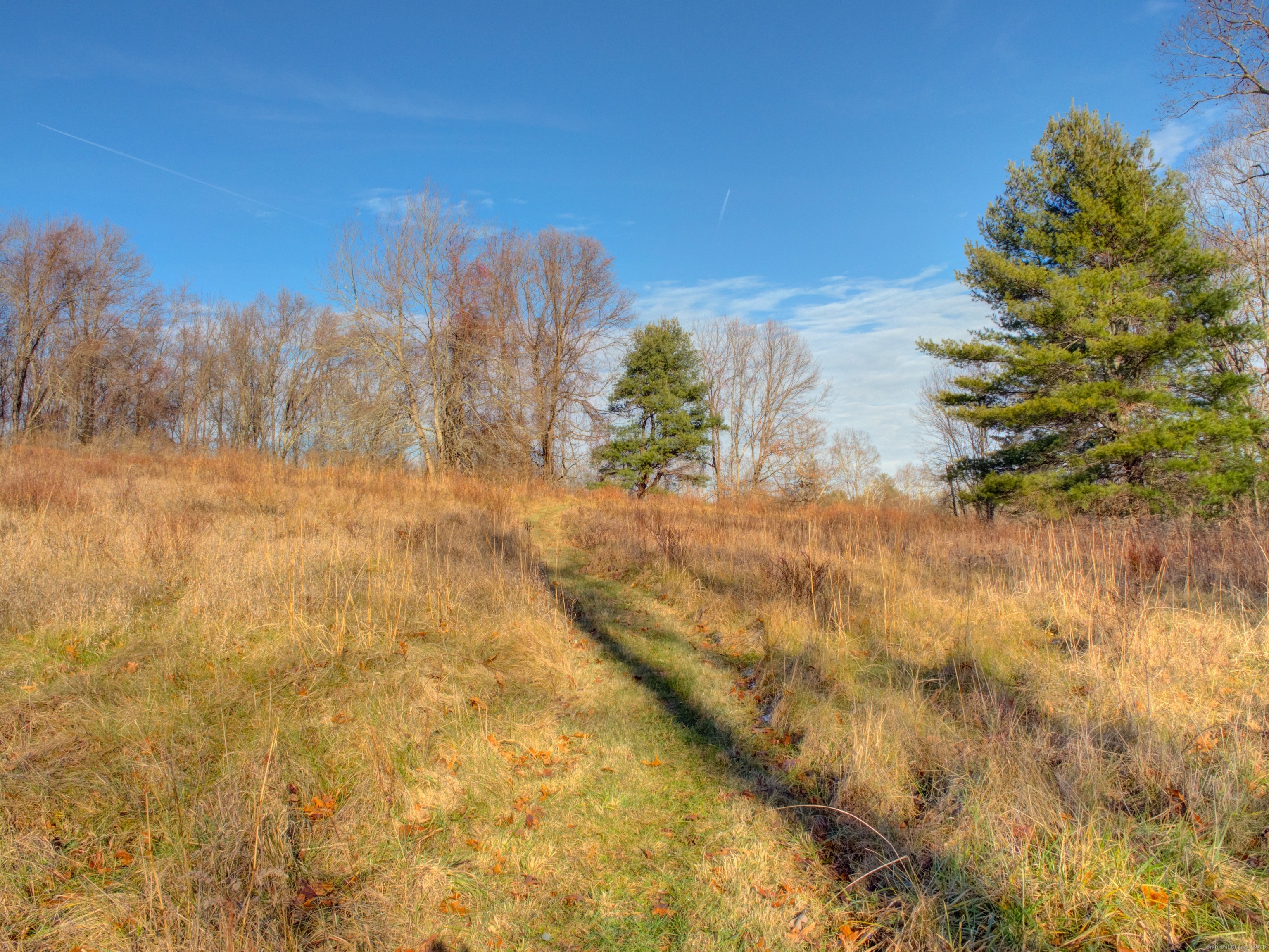 Summit Road Storrs Mansfield, CT 06268 - Photo 21 of 33 a view of a lake with a city
