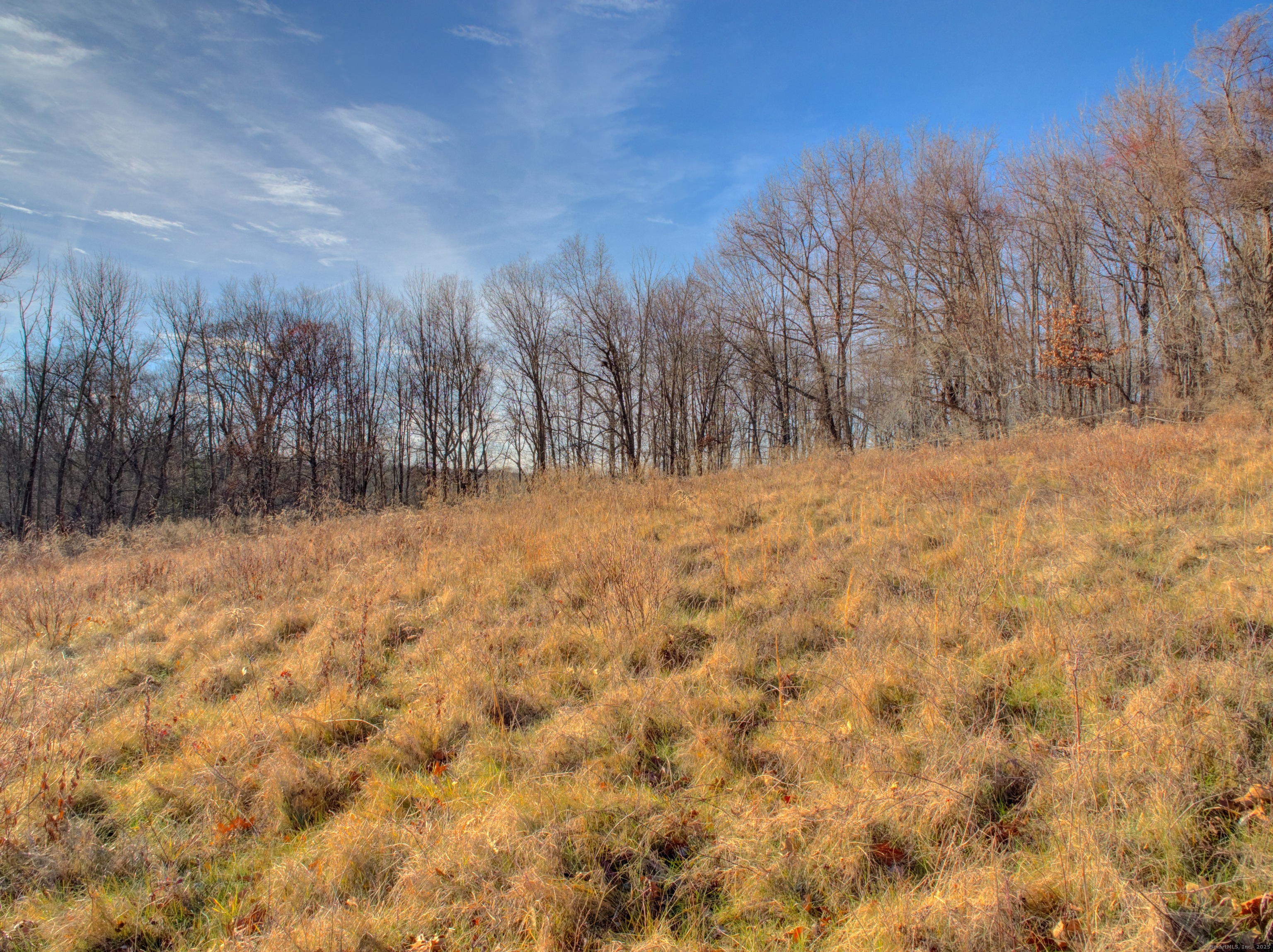 Summit Road Storrs Mansfield, CT 06268 - Photo 23 of 33 a view of a yard with trees in the background