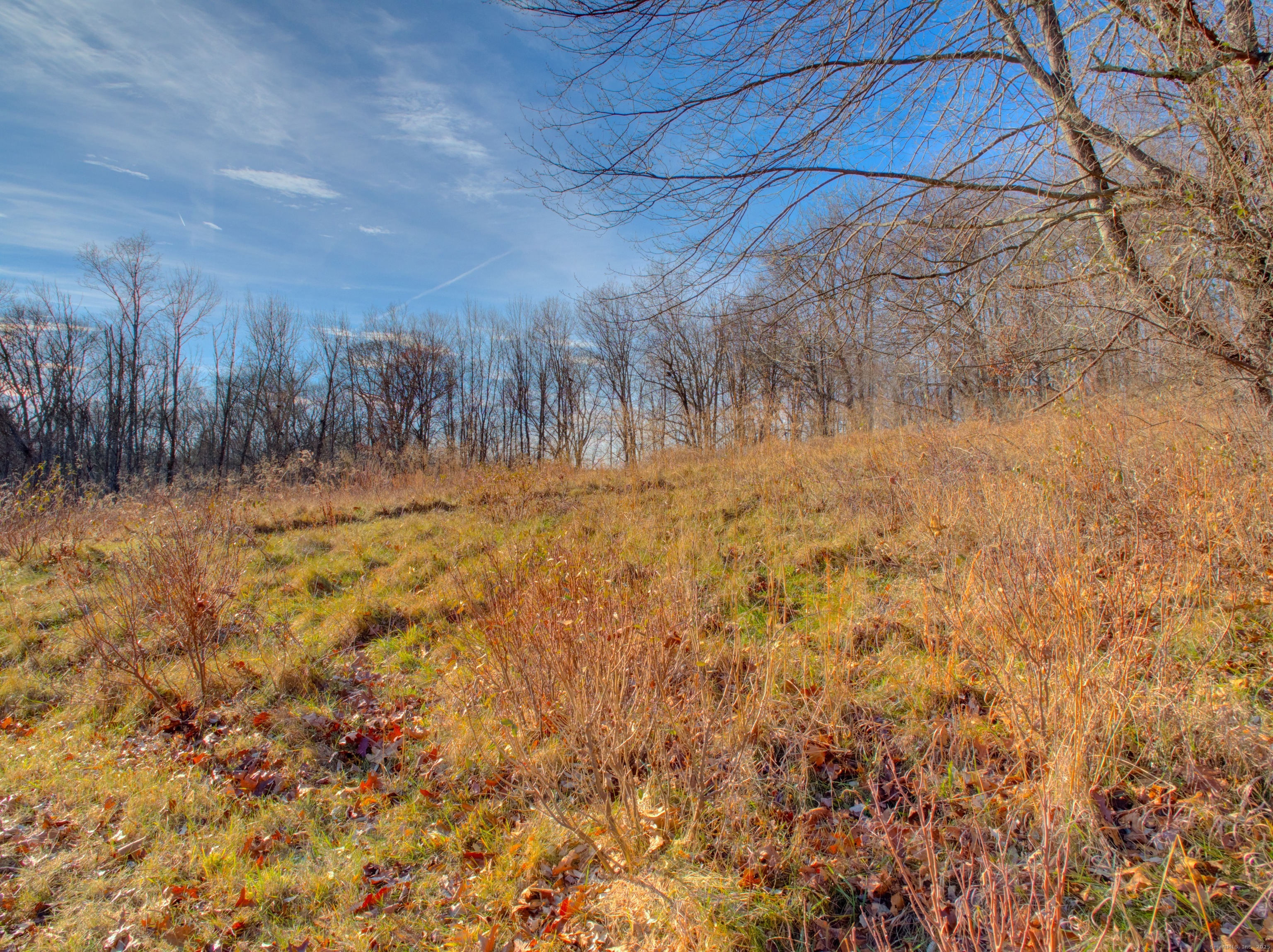 Summit Road Storrs Mansfield, CT 06268 - Photo 27 of 33 a view of a yard with large trees