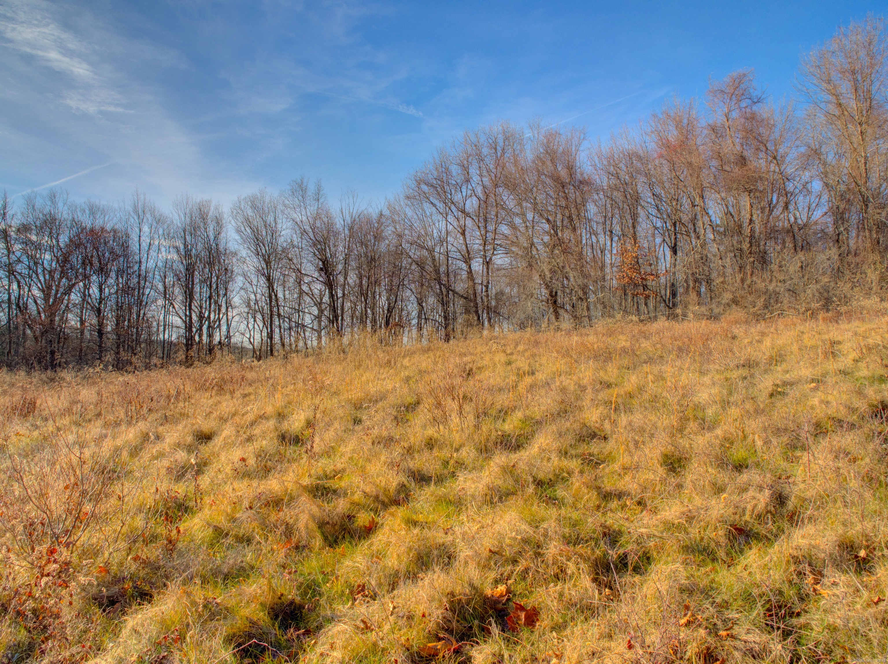 Summit Road Storrs Mansfield, CT 06268 - Photo 28 of 33 a view of yard covered with snow in front of house