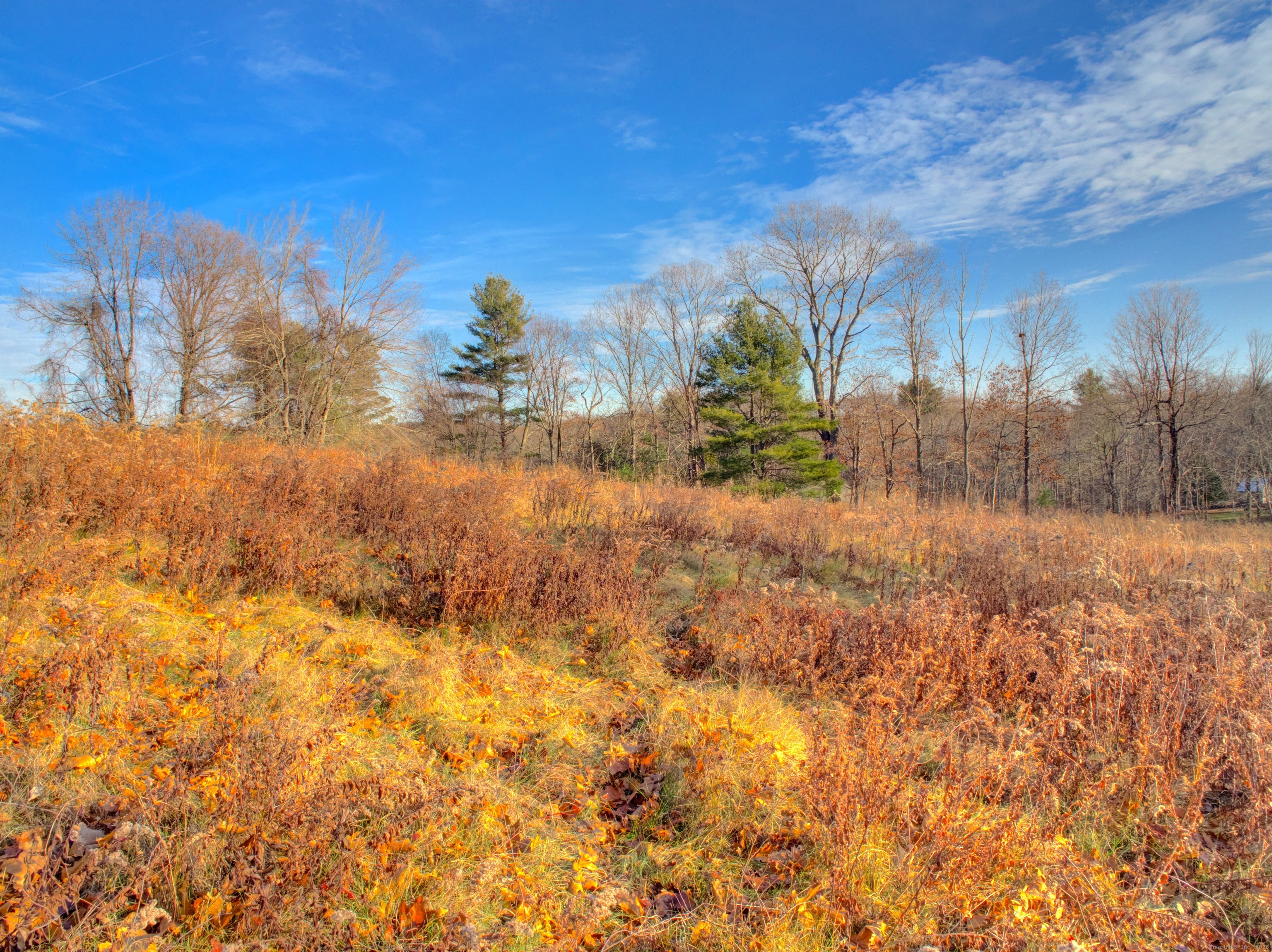Summit Road Storrs Mansfield, CT 06268 - Photo 32 of 33 a view of a yard