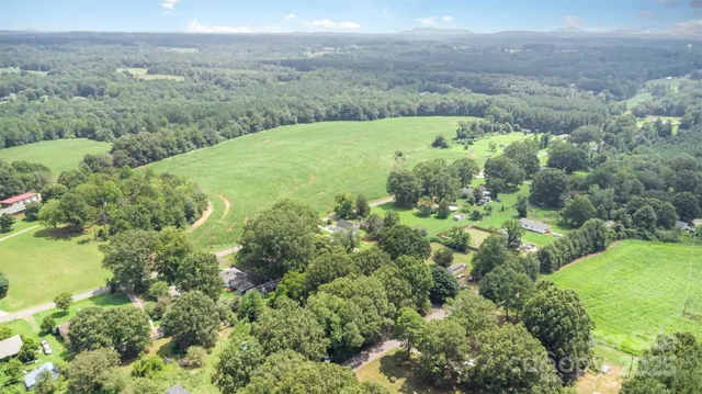 a view of a big yard with lots of bushes