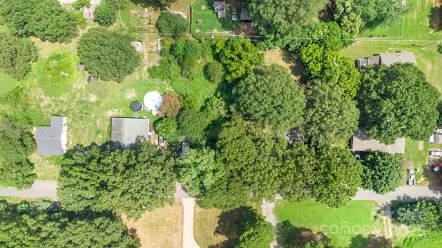 a close up of a plant in a garden