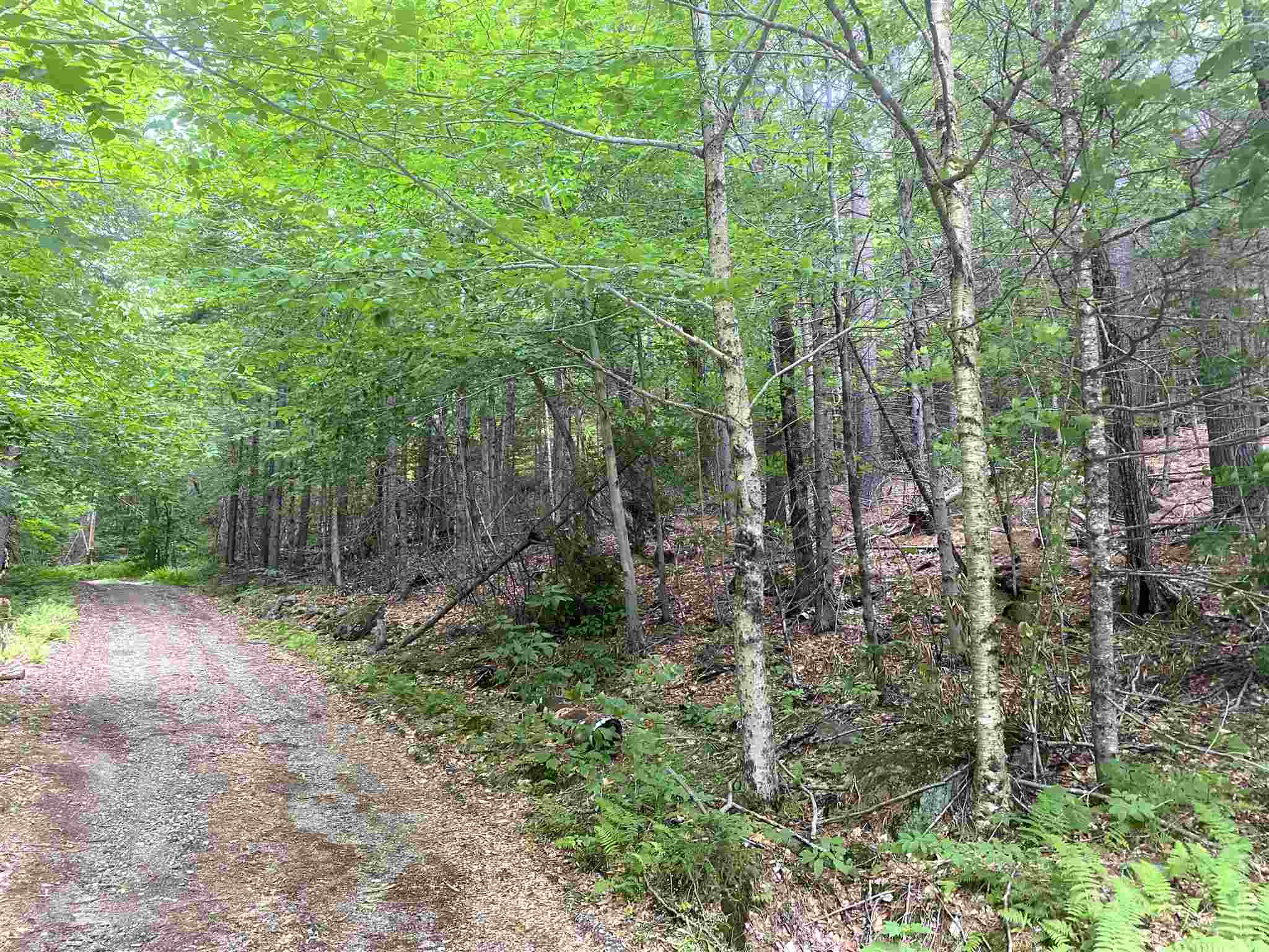 626 Kinsman Road Grafton, NH 03240 - Photo 13 of 25 Gallery Image 13
