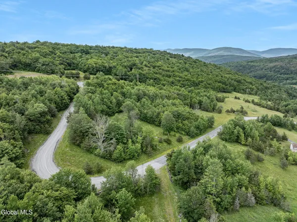 $320,000 | L40 Overlook Drive, Prattsville, NY 12468