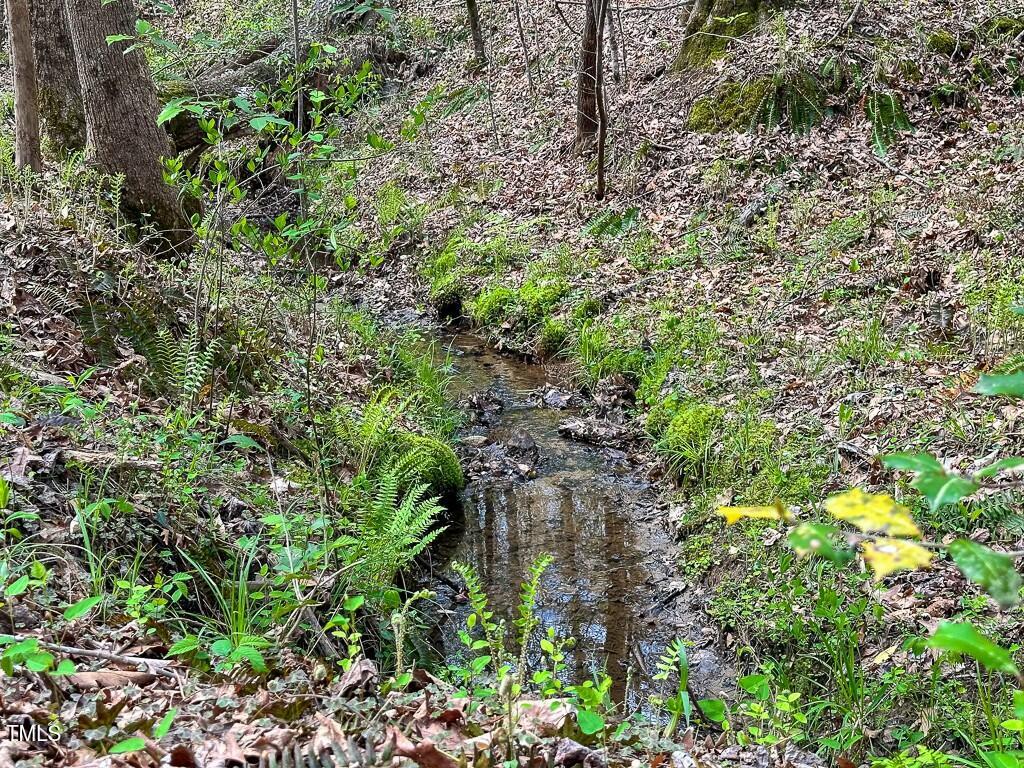 0 Rifle Range Road Warrenton, NC 27589 - Photo 26 of 38 tempImageYcqF6E