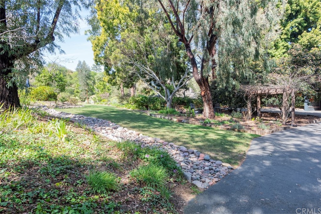 4935 San Jacinto Circle East Fallbrook, CA 92028 - Photo 29 of 53 a view of outdoor space with trees all around