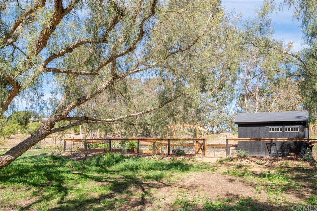 4935 San Jacinto Circle East Fallbrook, CA 92028 - Photo 34 of 53 a view of a yard with plants and trees