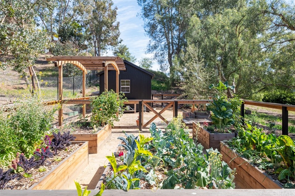 4935 San Jacinto Circle East Fallbrook, CA 92028 - Photo 35 of 53 a view of yard with green space and seating area