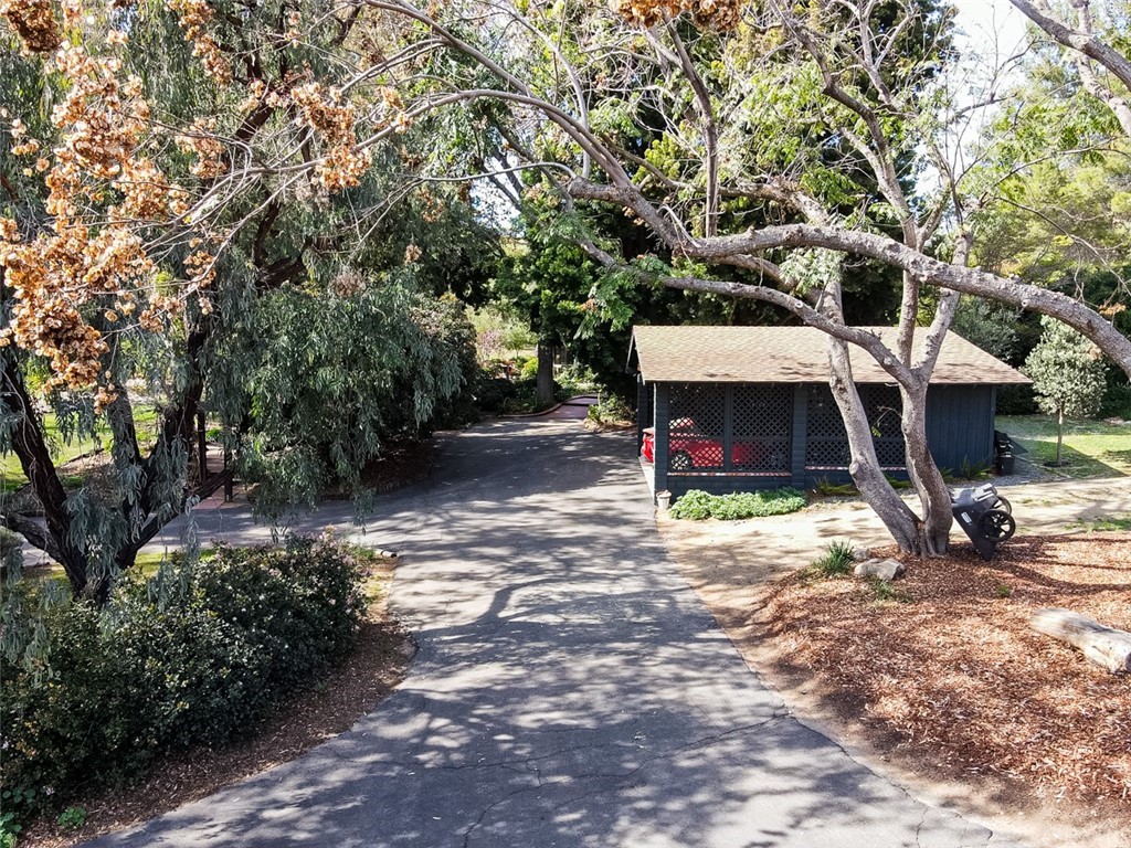 4935 San Jacinto Circle East Fallbrook, CA 92028 - Photo 38 of 53 a view of a yard with plants and a large tree