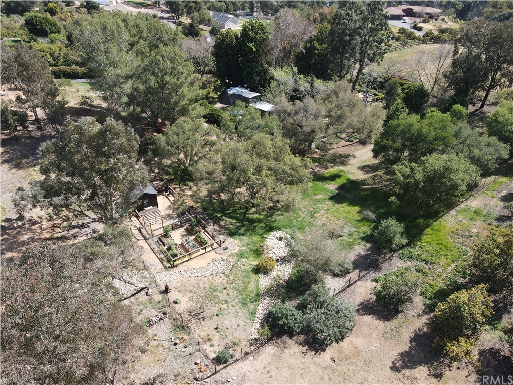 4935 San Jacinto Circle East Fallbrook, CA 92028 - Photo 49 of 53 a view of a forest with trees
