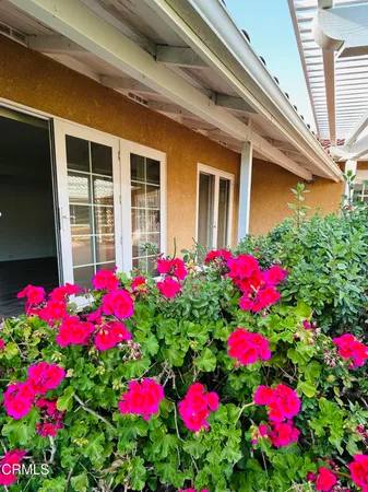a flower view