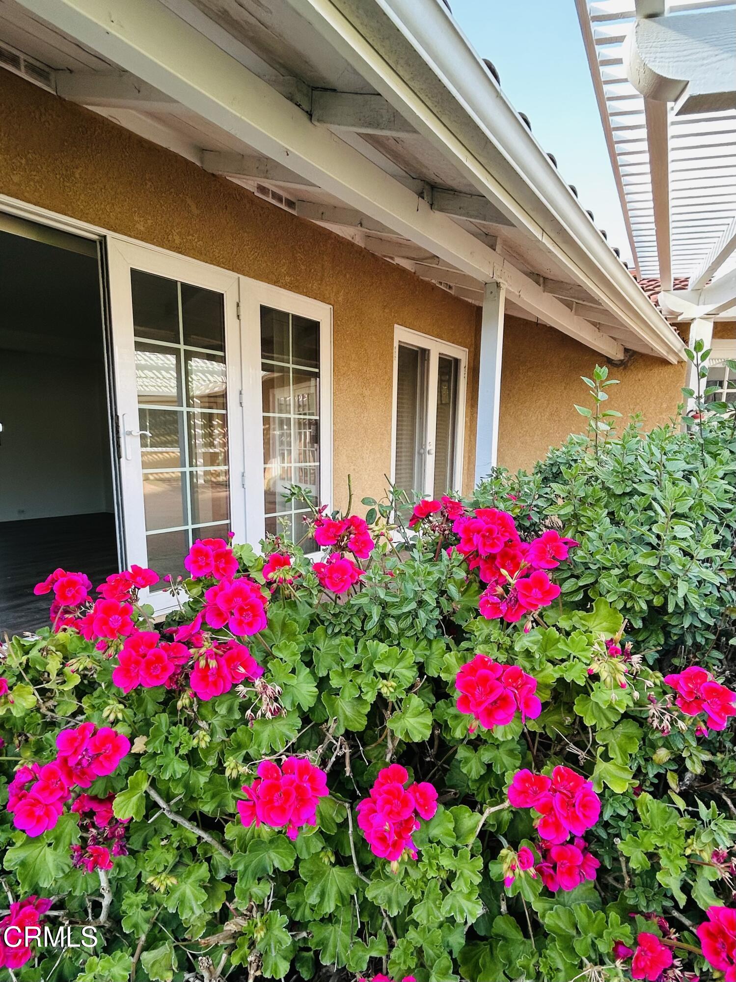 9630 Santa Rosa Road Camarillo, CA 93012 - Photo 1 of 35 a flower view