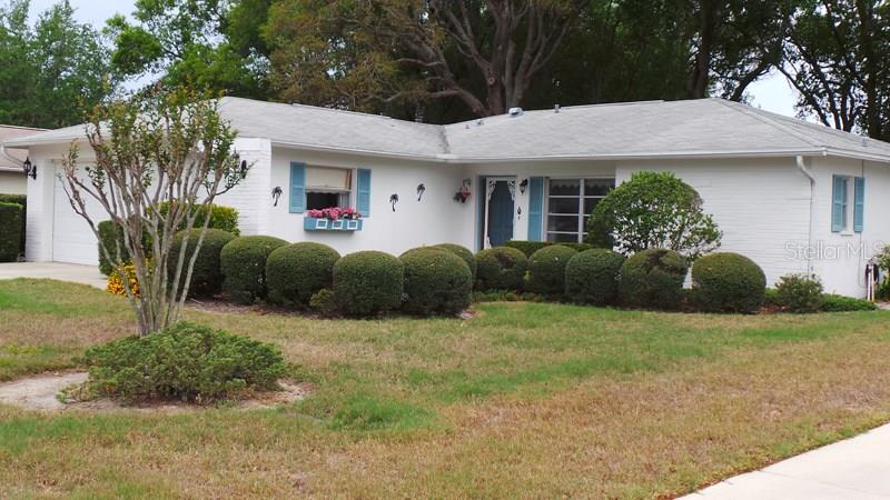 8451 Elgin Drive Port Richey, FL 34668 - Photo 1 of 1 Gallery Image 1