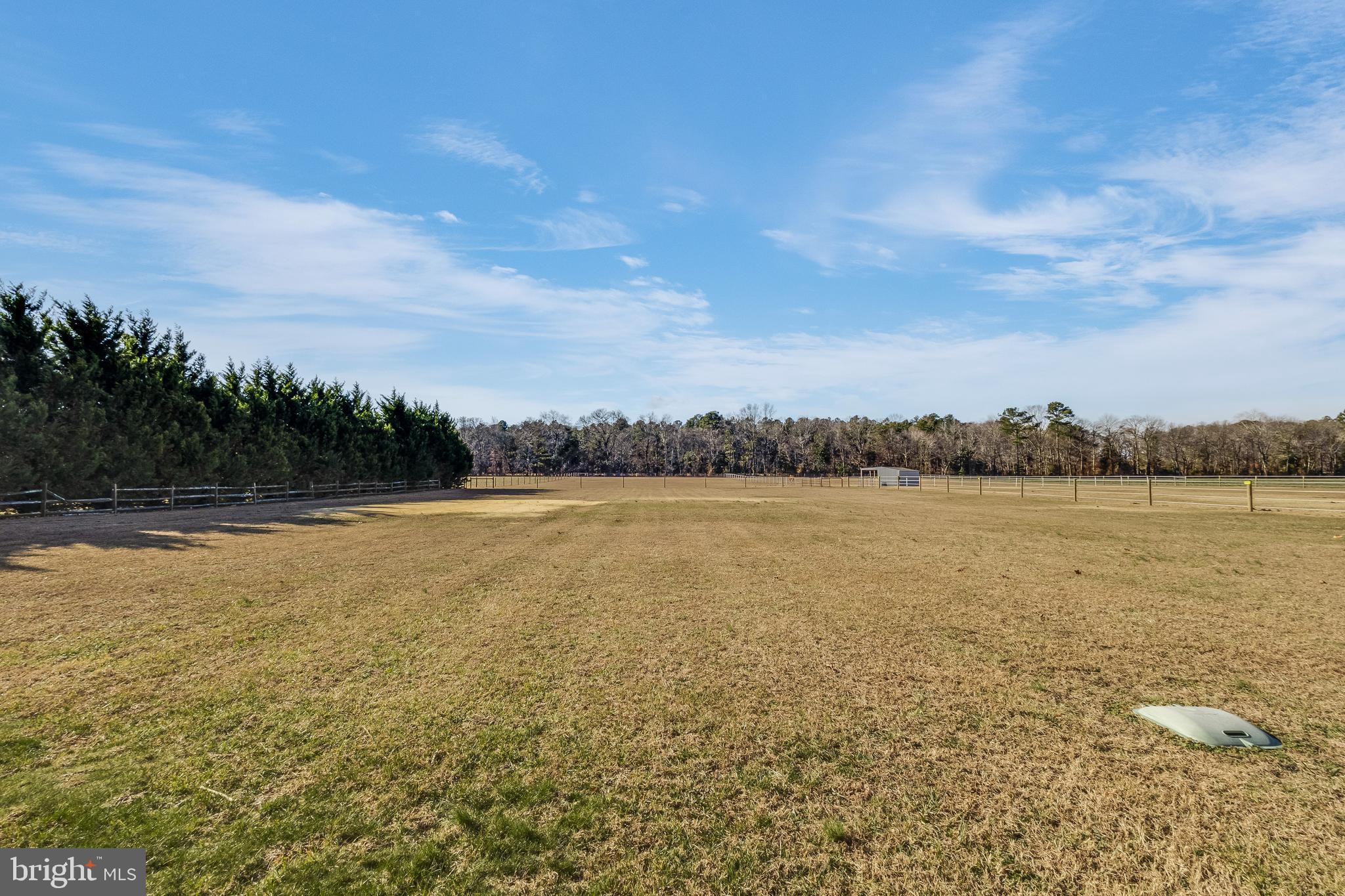 12390 Deer Forest Road Bridgeville, DE 19933 - Photo 54 of 61