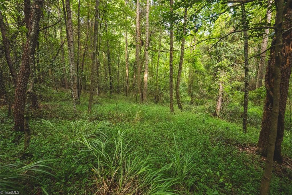 Tbd Johnson Ridge Road Elkin, NC 28621 - Photo 5 of 18